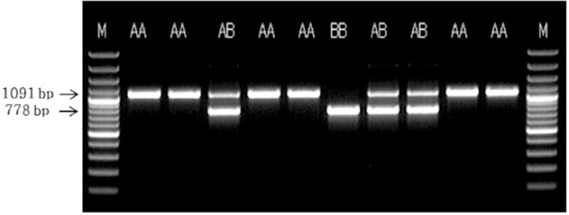 jast-56-0-25-g1